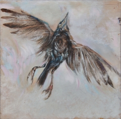 Aufwind, aus der Serie Flügelschlag, Kohle und Öl auf Holz, 29,7cm x 30cm, 2023